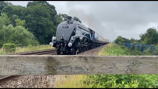 60007 ‘Sir Nigel Gresley’ Passing Tiverton Parkway Foot Crossing [upl. by Ilzel843]