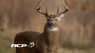 Sépaq Anticosti  Chasse aux chevreuils secteur Galiote [upl. by Bjorn]