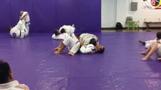 Haley vs Ryron Gracie [upl. by Cordalia251]