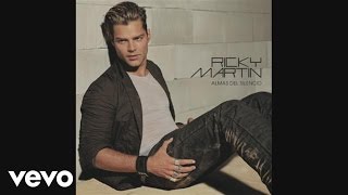 Ricky Martin  Juramento audio [upl. by Areivax]