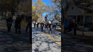 Whats your dare✨horse equestrain trickriding stuntrider dares fypシ゚ subscribe viralshort [upl. by Arayk]