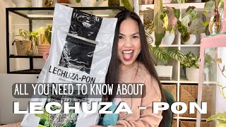 💚 Why I moved 200 plants to LECHUZAPON  Honest Review  Repotting different substrate to PON 💚 [upl. by Ermentrude582]