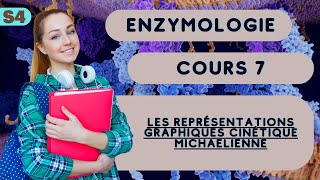 Enzymologie S4 les représentations graphiques cinétique Michaelienne cours svi [upl. by Millda]