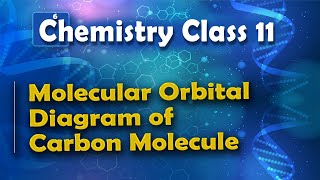 Molecular Orbital Diagram of Carbon Molecule  Nature of Chemical Bond  Chemistry Class 11 [upl. by Abroms]