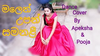 Malen upan samanali මලෙන් උපන් සමනළී Dance Cover  Apeksha Dissanayake [upl. by Eniron]