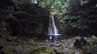 Açores S Miguel [upl. by Cirone715]