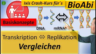 Vergleich DNAReplikation und Transkription mithilfe der Basiskonzepte der Biologie viel einfacher [upl. by Aerdnuahs]