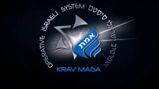 Krav Maga  Training Israel [upl. by Ettenotna]