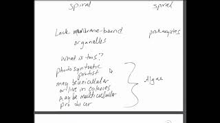 PB2 LT review Bacterial shapes and algae CH 17 [upl. by Kciv]