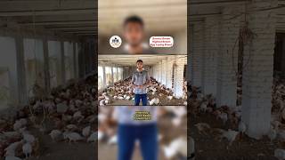 2 month old bovan brown  Bovans brown farming  poultry farming in Pakistan  Naqvi poultry farms [upl. by Otrevlig]