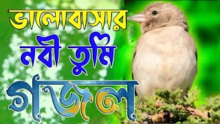 নবী প্রেমের সেরা গজল । Valobasar Nobi Tumi । ভালোবাসার নবী তুমি । Bangla Gojol 2024 [upl. by Arahsit955]