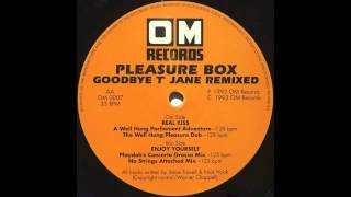 Pleasure Box  Enjoy Yourself Playdohs Concerto Grosso Mix 1993 [upl. by Virgilia881]