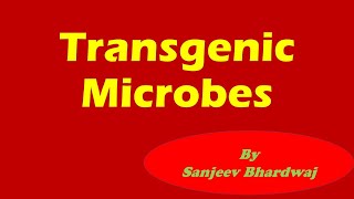 Transgenic Microbes l Biotechnology and its applications l Uses of Transgenic microbes l Edufacts [upl. by Notsruht]