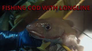 Fishing cod with longline [upl. by Patin22]