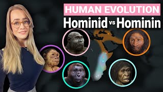 Human Evolution Explained  Hominid amp Hominin Difference [upl. by Nial718]