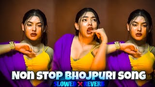 Non stop bhojpuri slowed reverb song  Bhojpuri song mashup slowed and reverb [upl. by Slayton541]