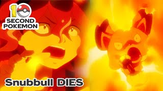 Snubbull Dies [upl. by Ecinerev]