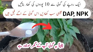 5 Disprin benefits for plants  Best fertilizer and fungicide for plants [upl. by Gerger]