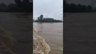 Dam Water opens full water running in Village [upl. by Lihka]