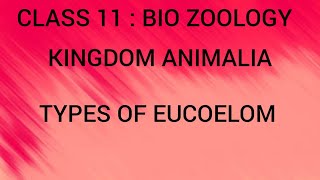 Types of Eucoelom  Kingdom Animalia  Class 11  Tamil [upl. by Ahseat]