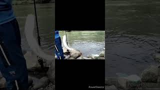 Khwai dohkha mynstepMeghalaya fishing 🎣🎣 [upl. by Adigun406]