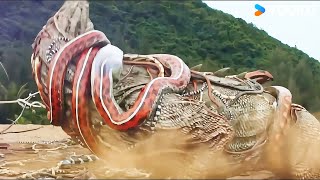 The lizard died after being entangled in countless snakes  Varanus Priscus  YOUKU MONSTER MOVIE [upl. by Atir]