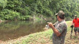 Middle TN Creek Fishing [upl. by Ardin226]