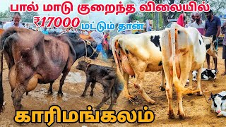 17000 தான் இந்த மாடு காரிமங்கலம் மாட்டு சந்தை தருமபுரி மாவட்டம் tn24sakthivlogs [upl. by Aicel]