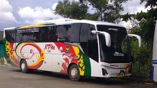 Line Perdana Bus NPM Di Kota Dumai [upl. by Kerstin]