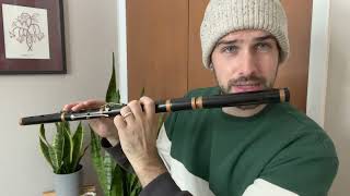 Sí Bheag Sí Mhór  Ornamentation Tutorial  Irish Flute [upl. by Fields]