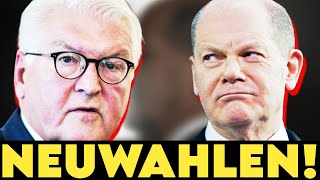 KATASTROPHE STEINMEIER BLAMIERT SCHOLZ [upl. by Devonne]