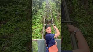 Hidden gem 💎 wildernest resort in chorla ghat goa resort goa nature naturelovers jungle [upl. by Nylirret]