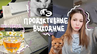 STUDY VLOGstudy with meбудни девитиклассницыПОДГОТОВКА К ОГЭ ХИМБИО studylog vlog химбио [upl. by Miquela]