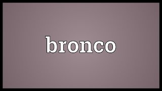 Bronco Meaning [upl. by Rubens]