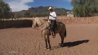 Tecnicas para Hacer un Caballo Coleador 1 [upl. by Garson]