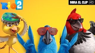 Rio 2  Clip Sobreviviré  HD [upl. by Arzed]