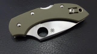 Spyderco Dragonfly G10  Review [upl. by Proctor]