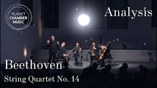 Beethoven Analysis String Quartet No 14 in Csharp minor Op 131  Quatuor Arod [upl. by Gemma]