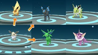 How to get all gen 1 amp 2 Shiny Eevee Evolution Eeveelution in Pokemon Go [upl. by Sheelah]