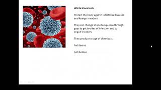 BTEC Applied Science Unit 1 Biology Specialised Cells [upl. by Oryaj805]