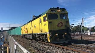 BG Daylight SSR Grain with N455 and S312 as well as multiple freights [upl. by Breen]