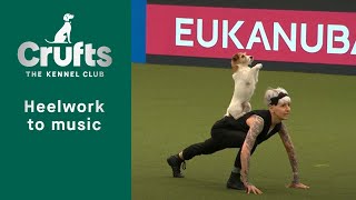 Heelwork To Music  Freestyle International Competition Part 1  Crufts 2023 [upl. by Yreffeg]