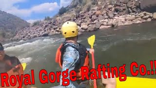 Rafting The Bighorn Sheep Canyon Arkansas River  Royal Gorge Rafting [upl. by Smitt]