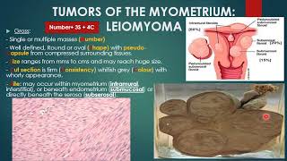 Myometrium and tube [upl. by Mcquade]