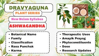 ASHWAGANDHA Dravyaguna Plants Series bams2ndyearinsomnianaturalstressreliefimmunity anxiety [upl. by Hachmin]