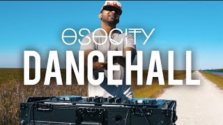 Dancehall Mix 2017  The Best of Dancehall 2017 by OSOCITY [upl. by Dahlstrom]