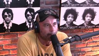 Joe Rogan on Roger the jacked kangaroo [upl. by Leuamme]