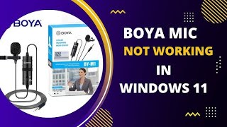 How to connect Boya M1 microphone to pc and configure settings Windows 1110 [upl. by Yticilef]