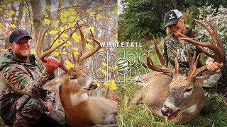 Whitetail Cribs From Ohio Giants To Hunting Stories [upl. by Ael]