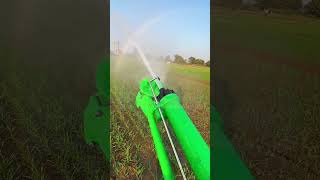 Water Sprinkler System  Mini Vlog Pasrur  Wheat Season  Water Gun  Milking System  Dairy Farm [upl. by Jeanine698]